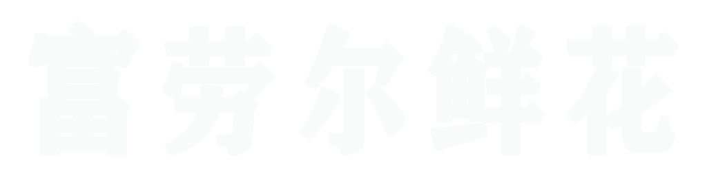 我的网站